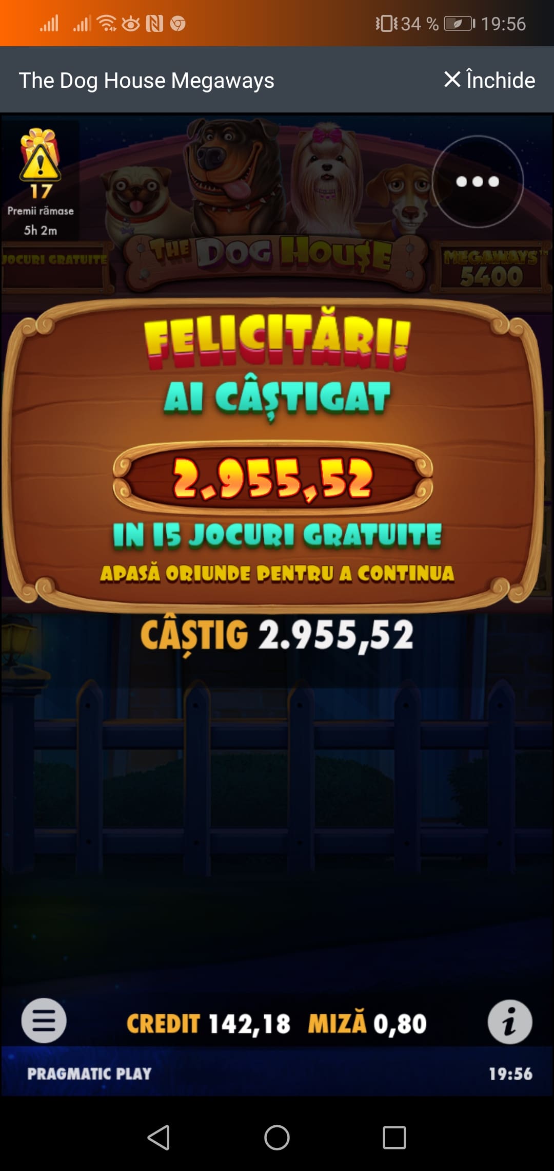single-castig