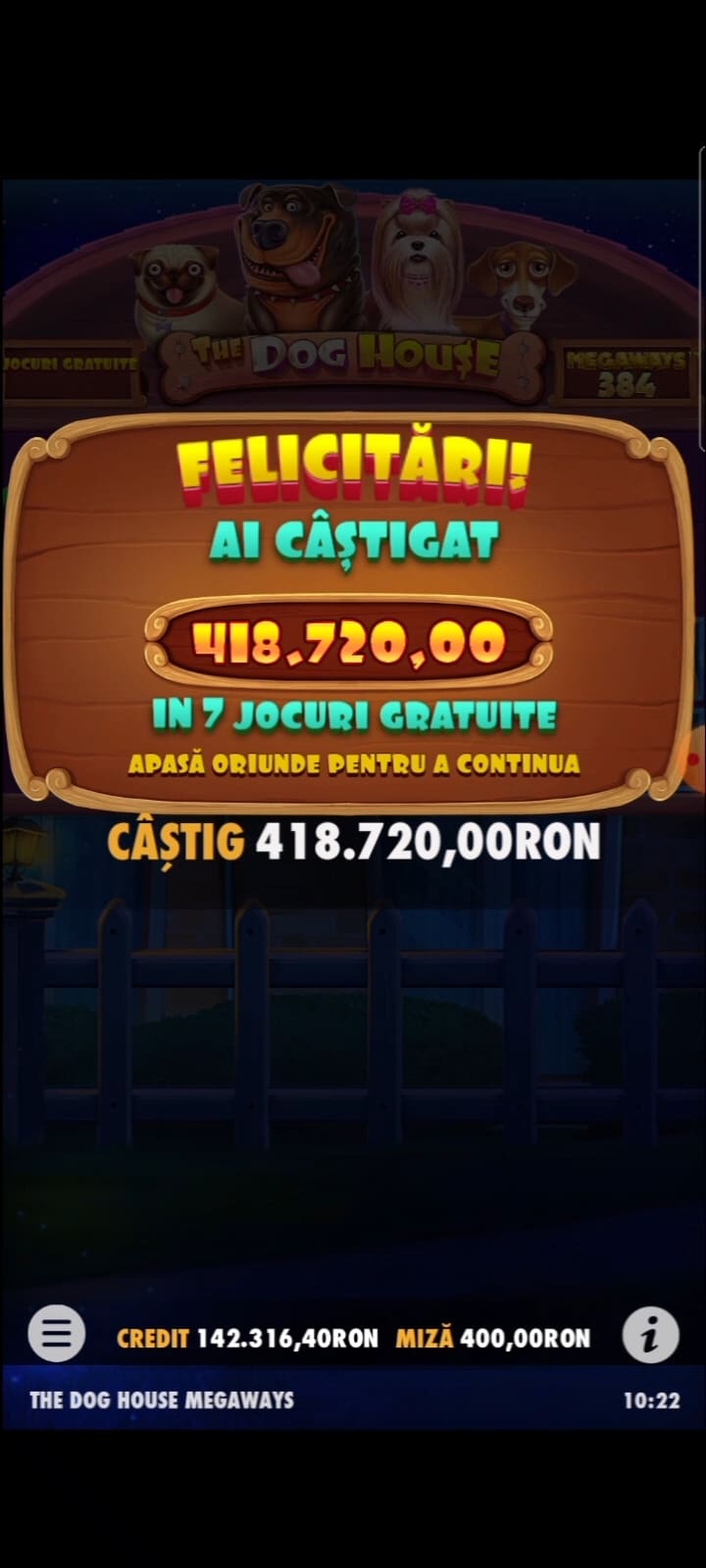 single-castig