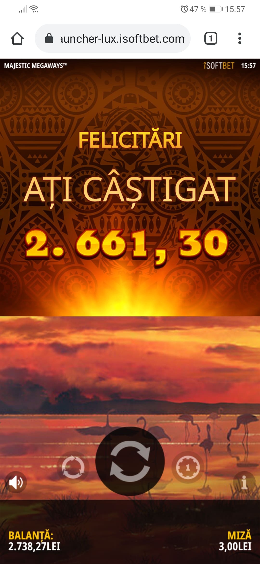 single-castig