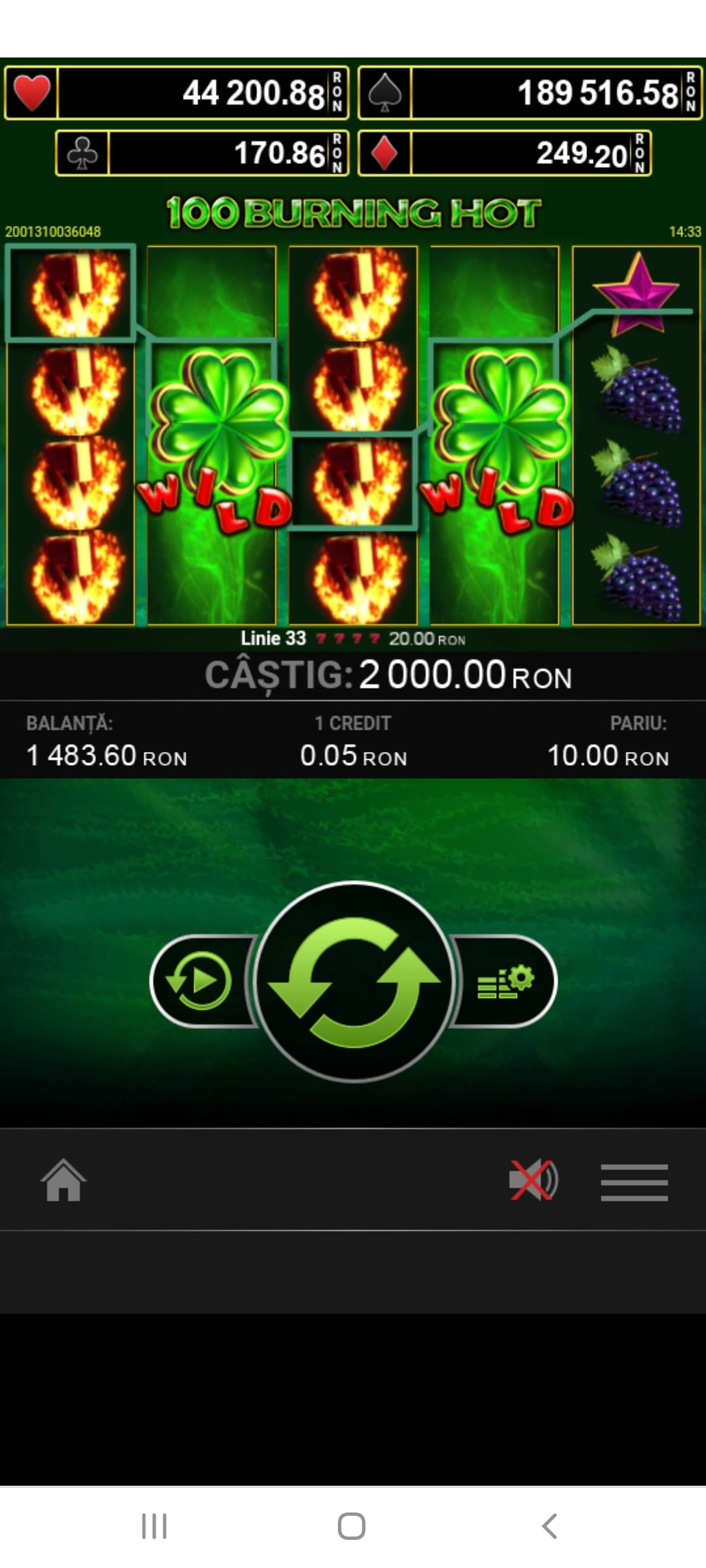 single-castig