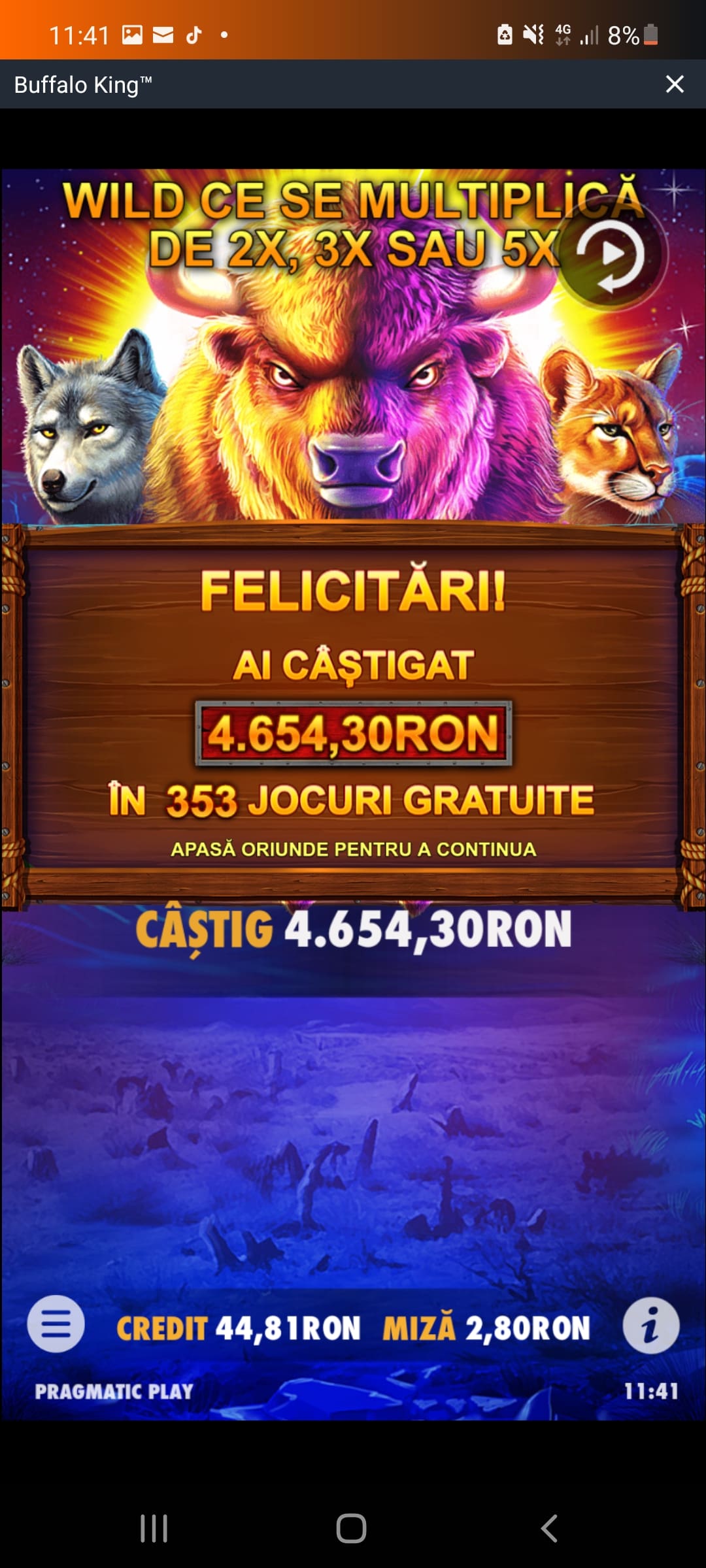 single-castig