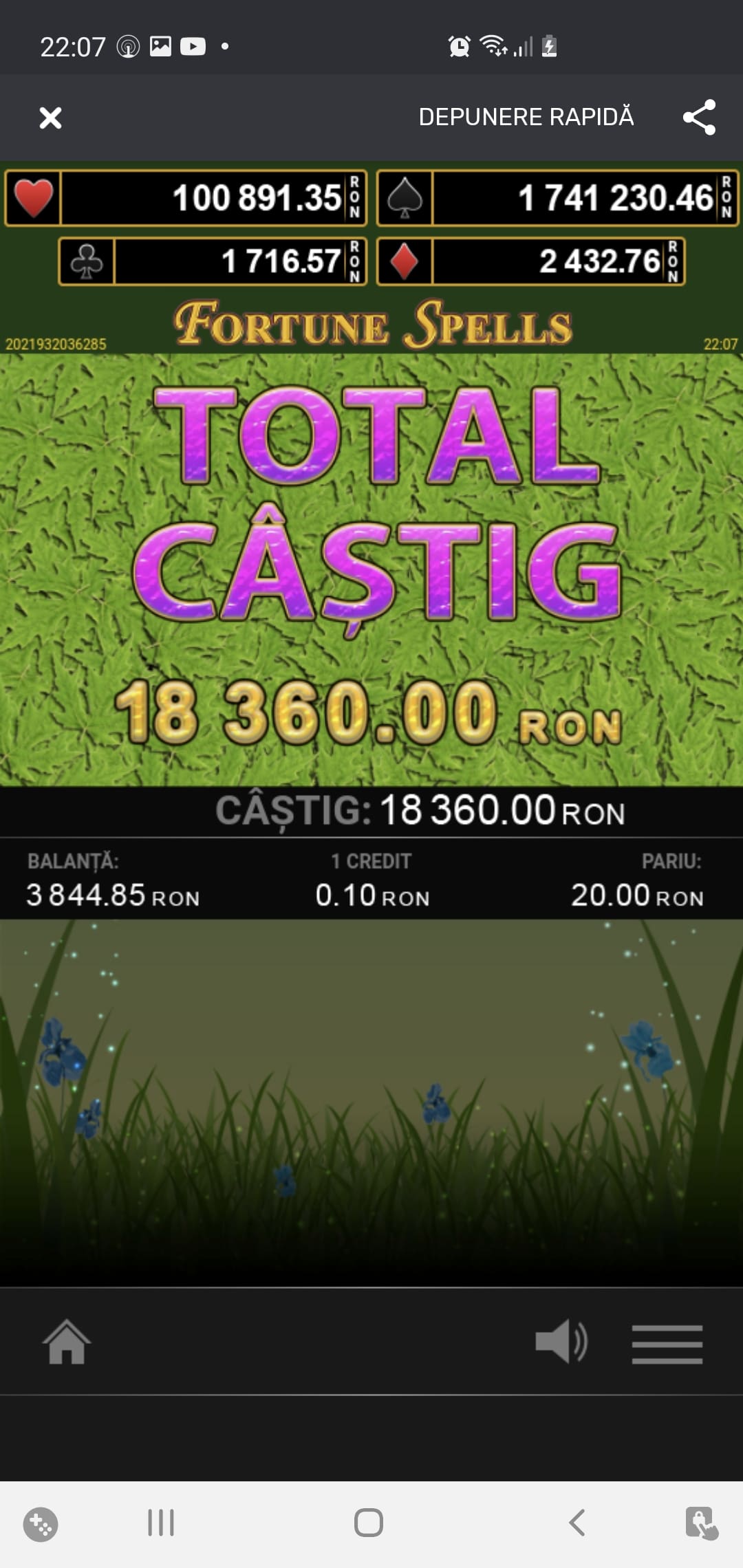 single-castig