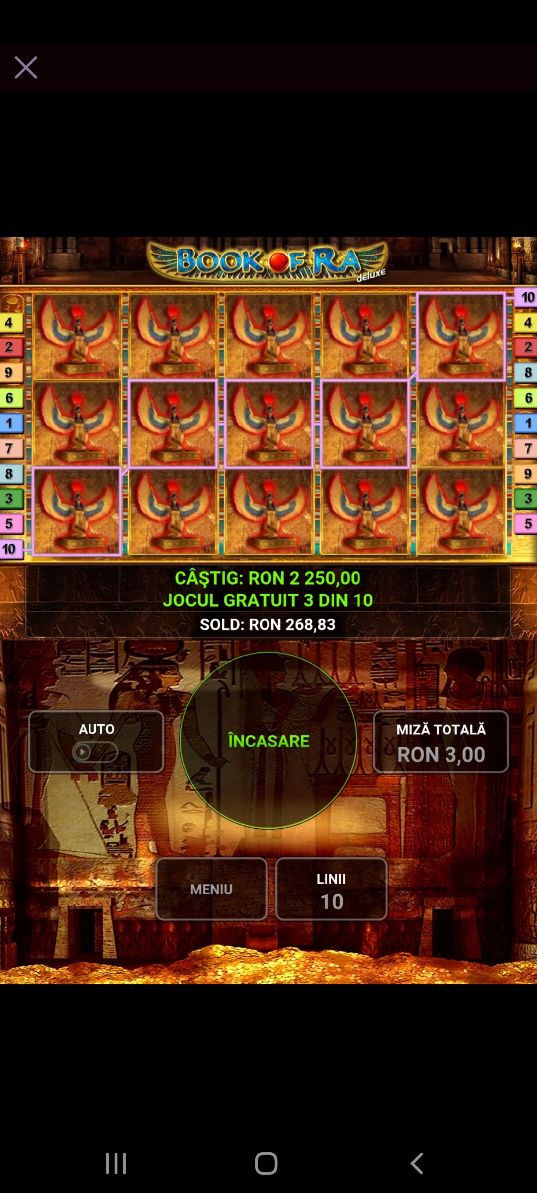 single-castig