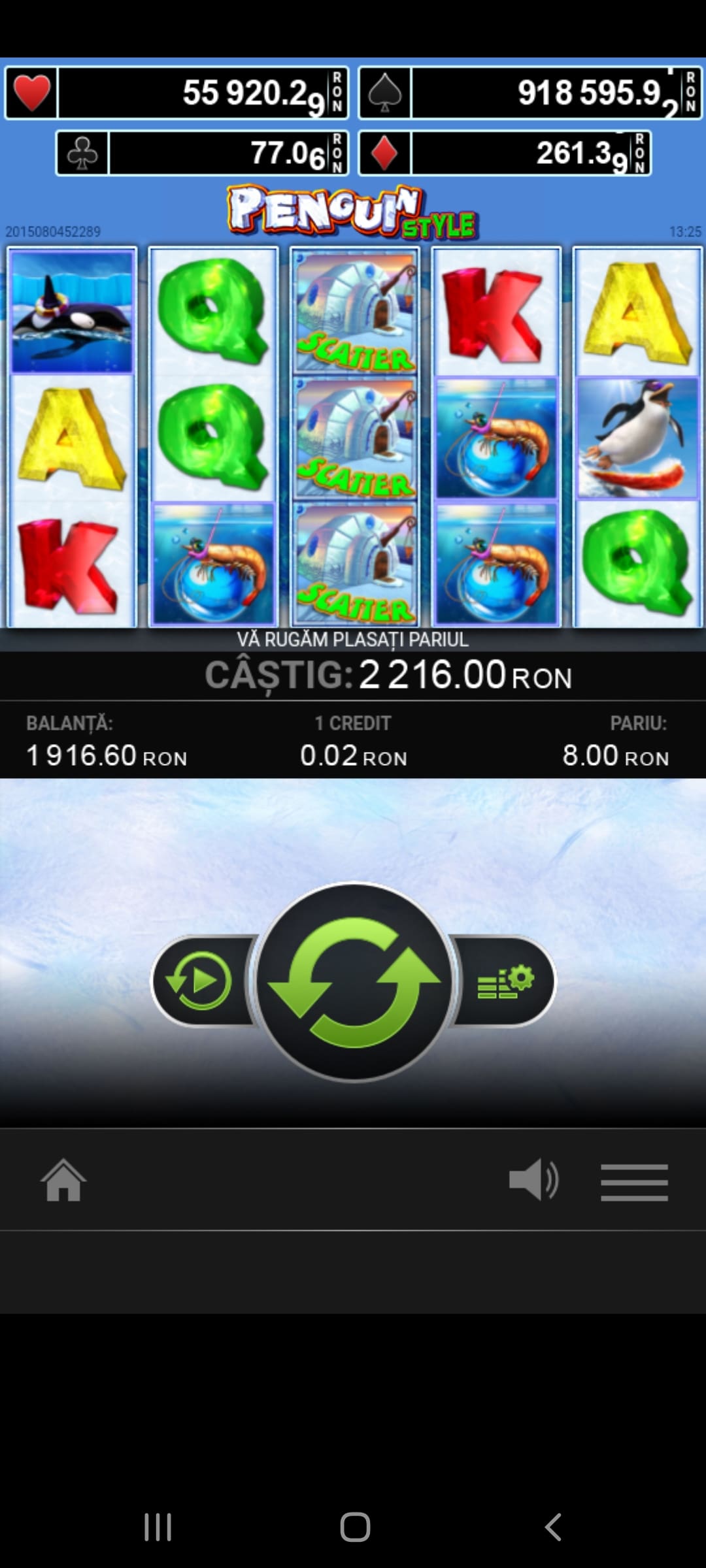 single-castig