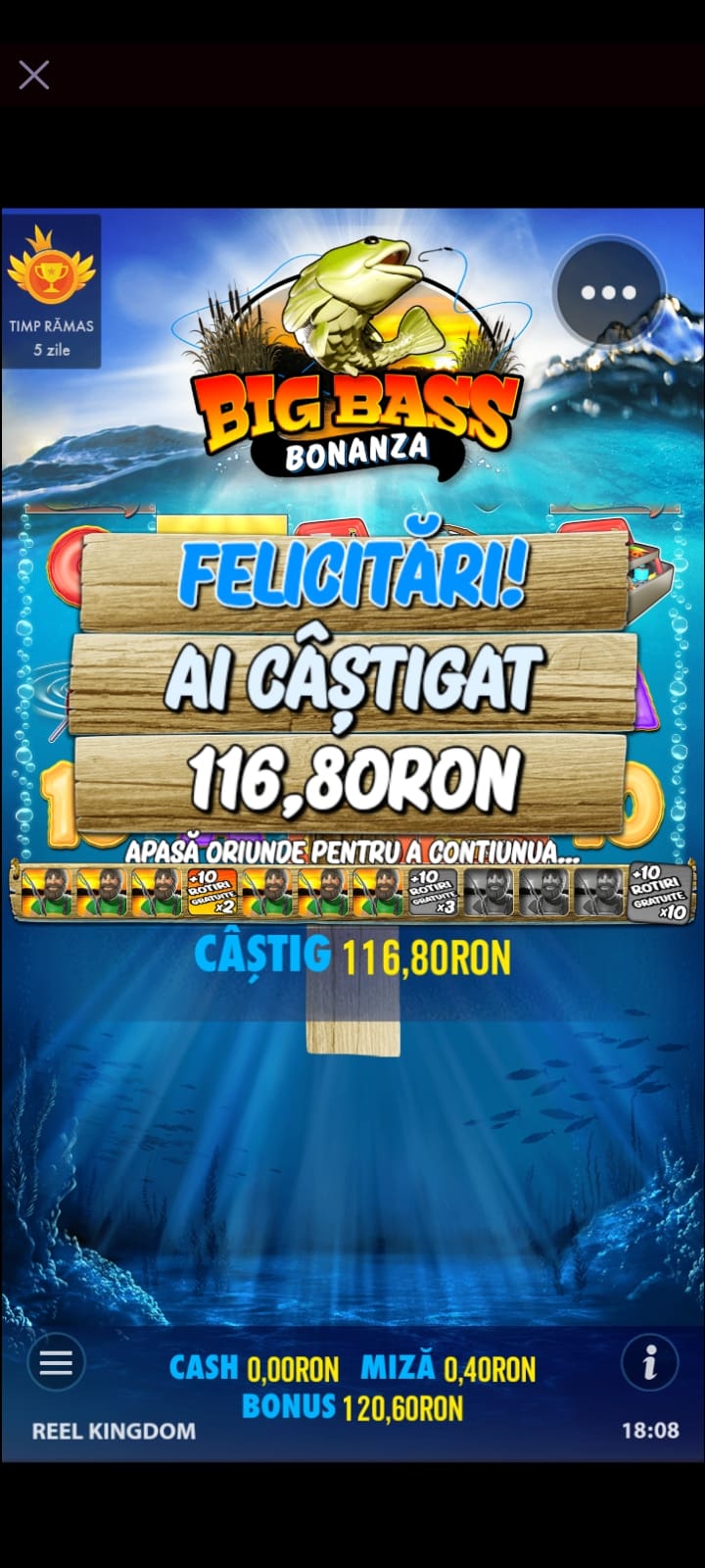 single-castig