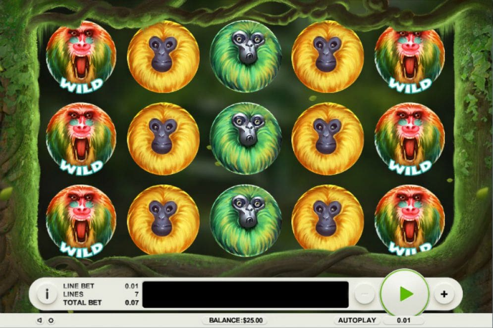 7 Monkeys