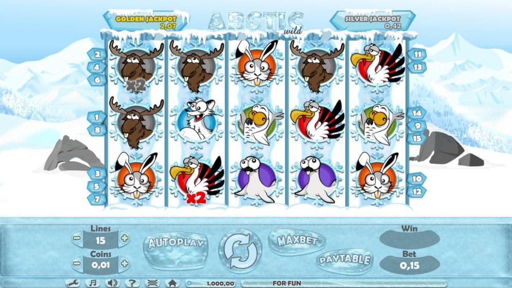Arctic Wild