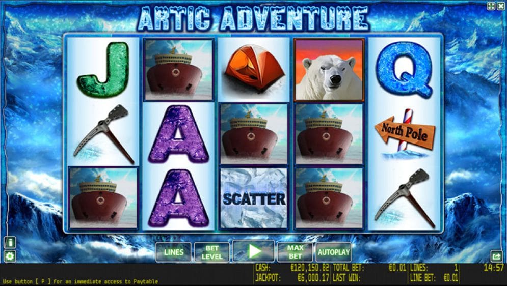 'Artic Adventure'