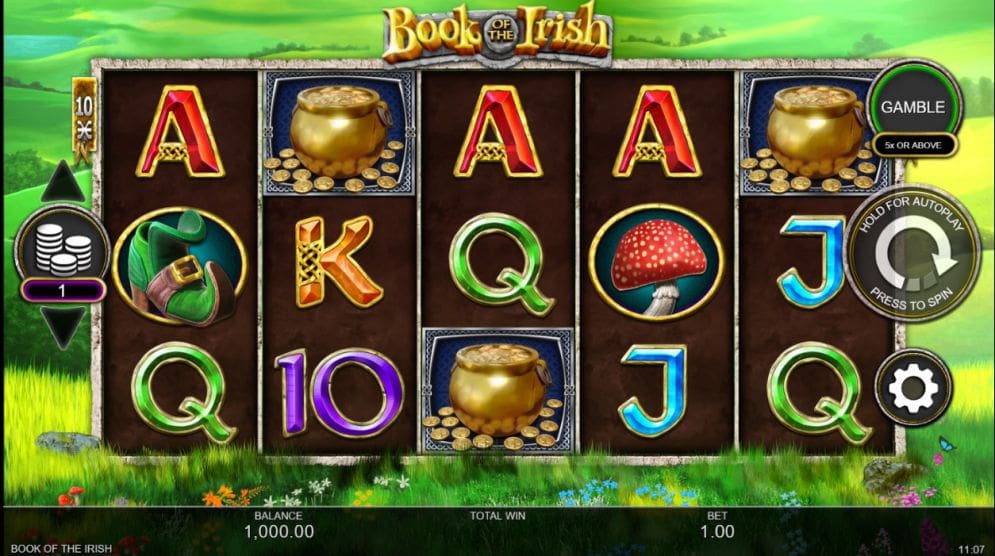 'Book of the Irish'