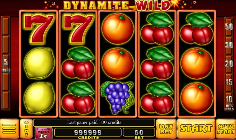 Dynamite Wild