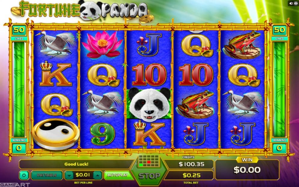 Fortune Panda