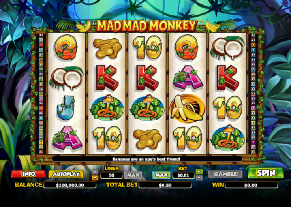 'Mad Mad Monkey'