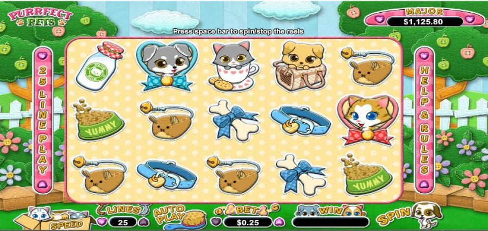Purrfect Pets