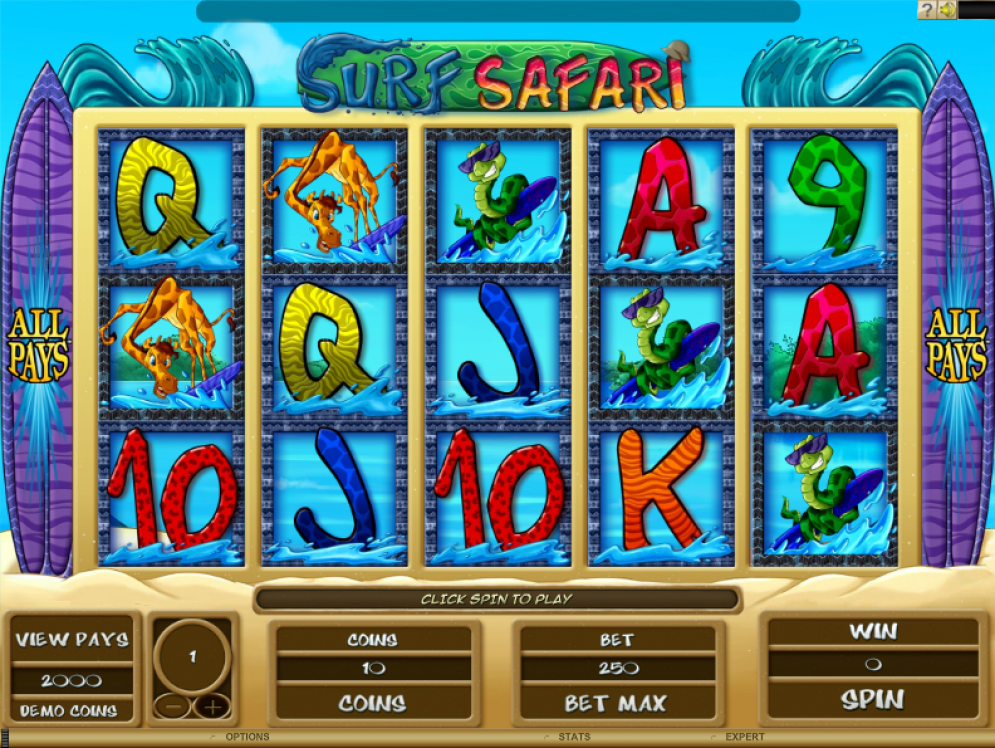 Surf Safari