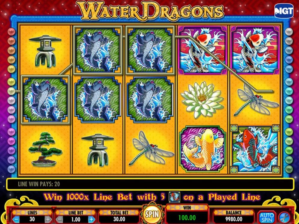 Water Dragons