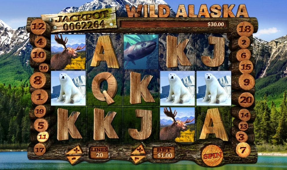 'Wild Alaska'