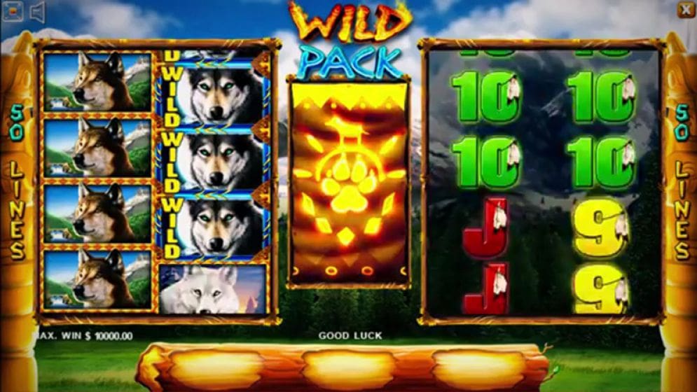 Wild Pack