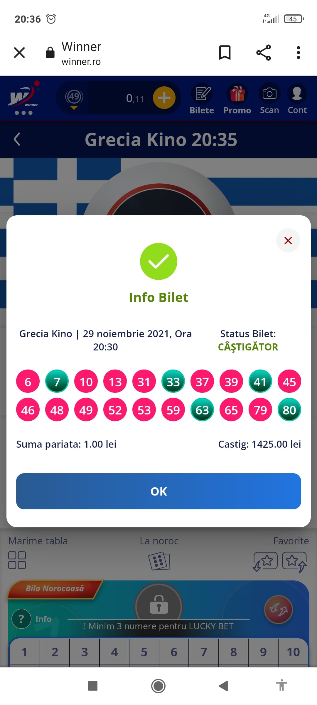 single-castig