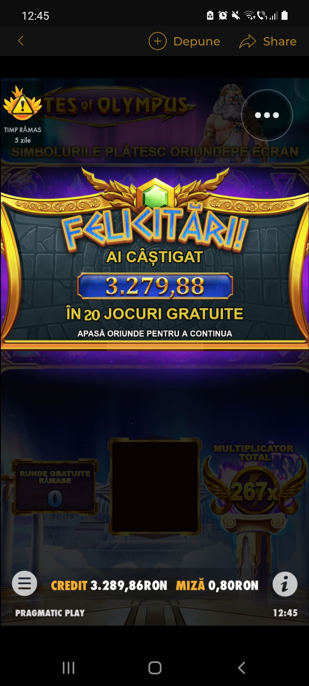 single-castig