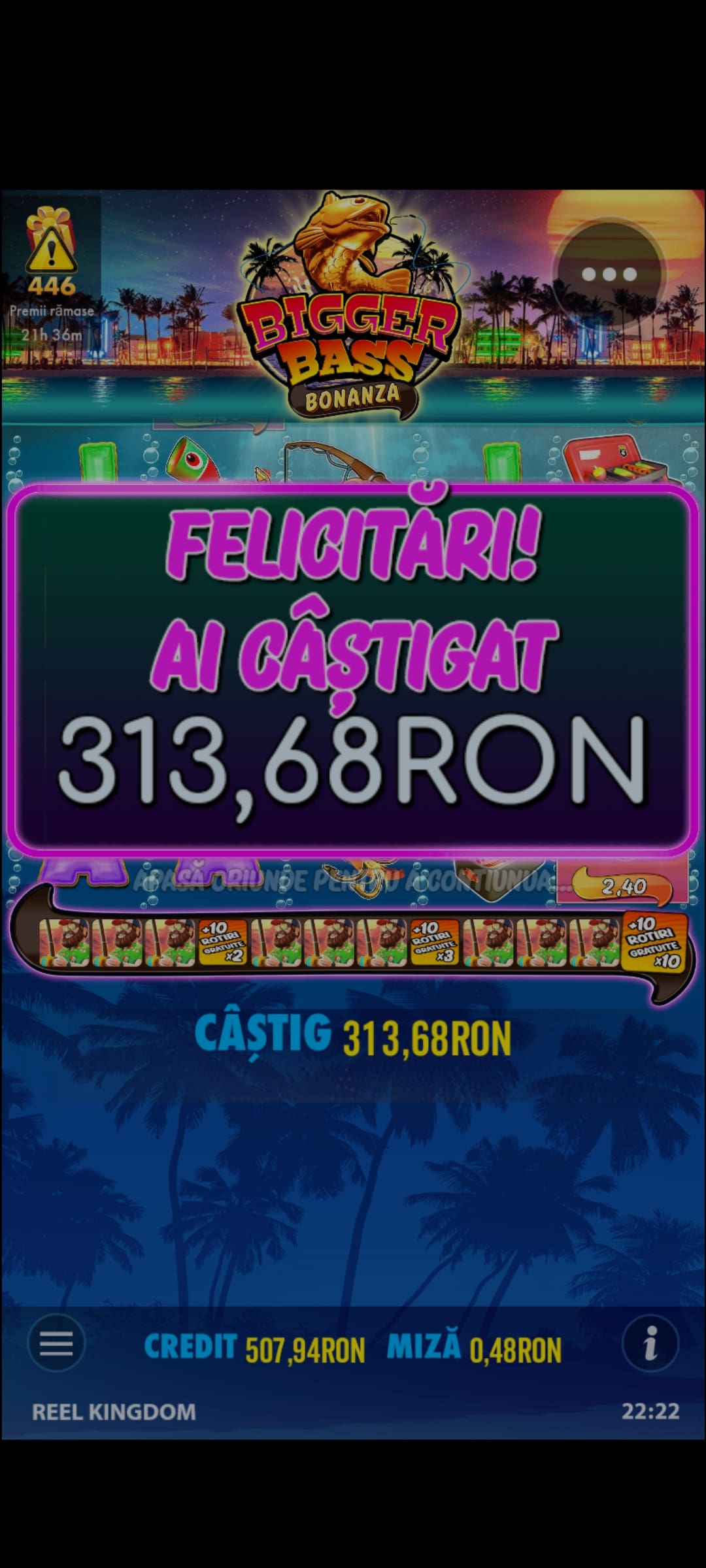 single-castig