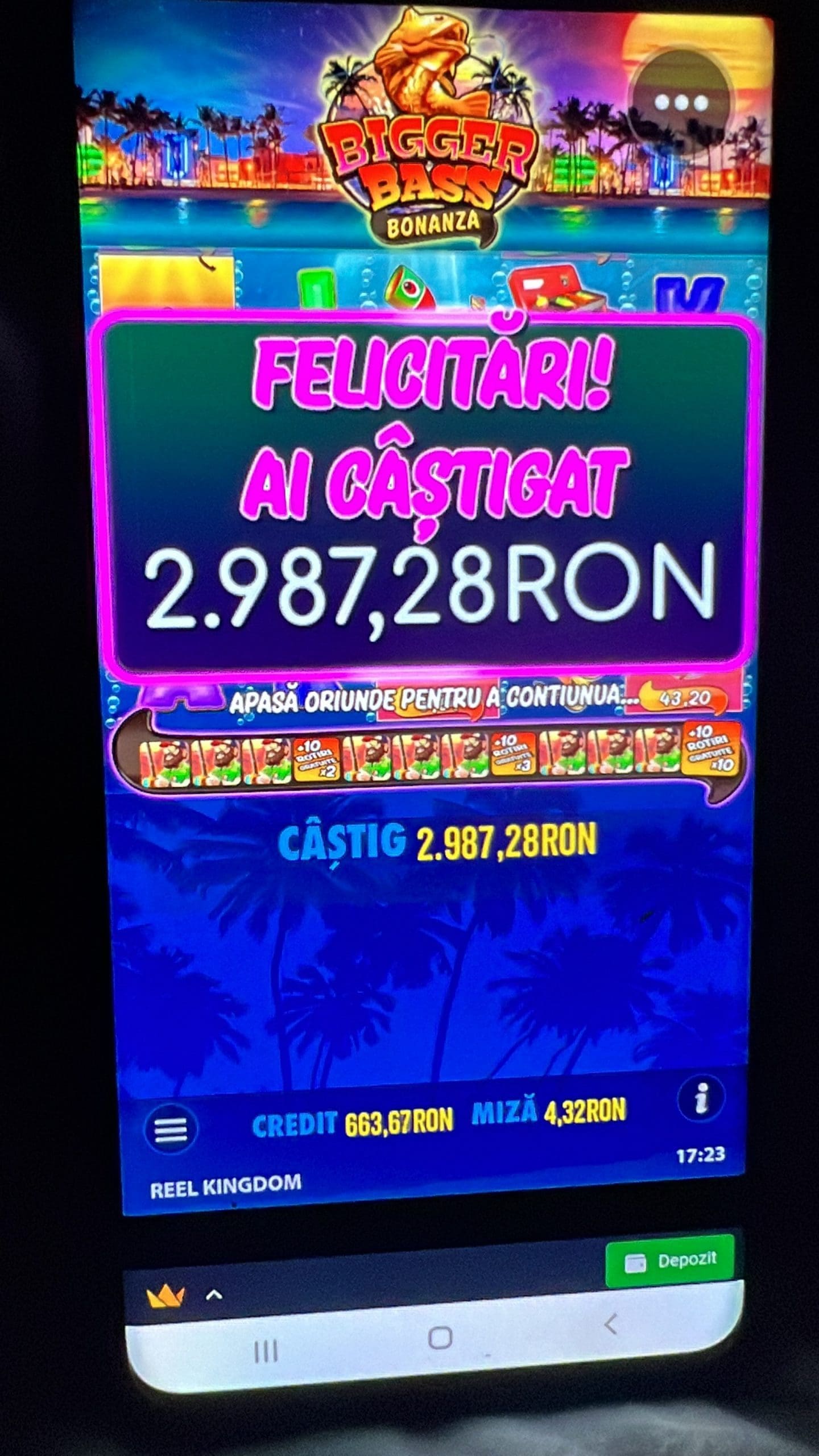 single-castig