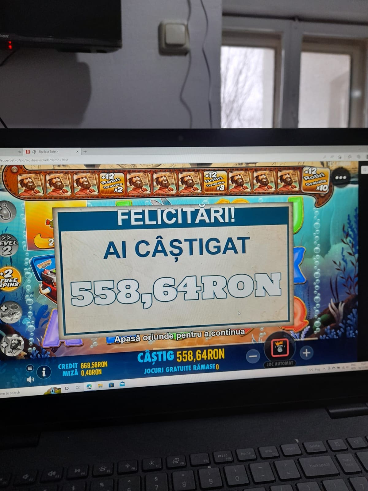 single-castig
