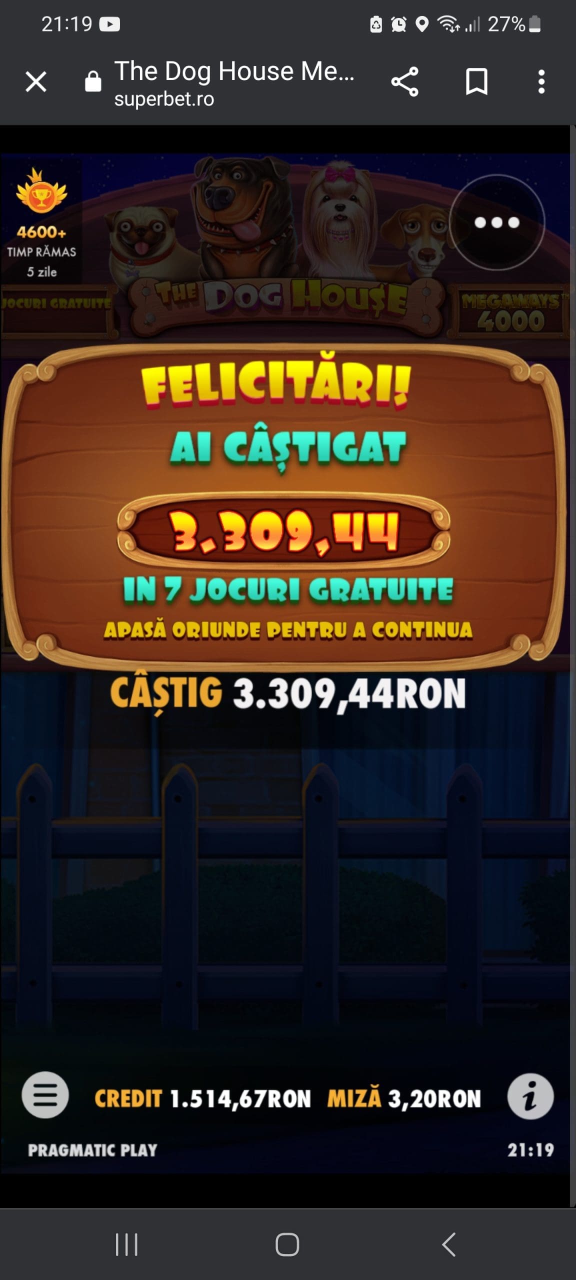single-castig