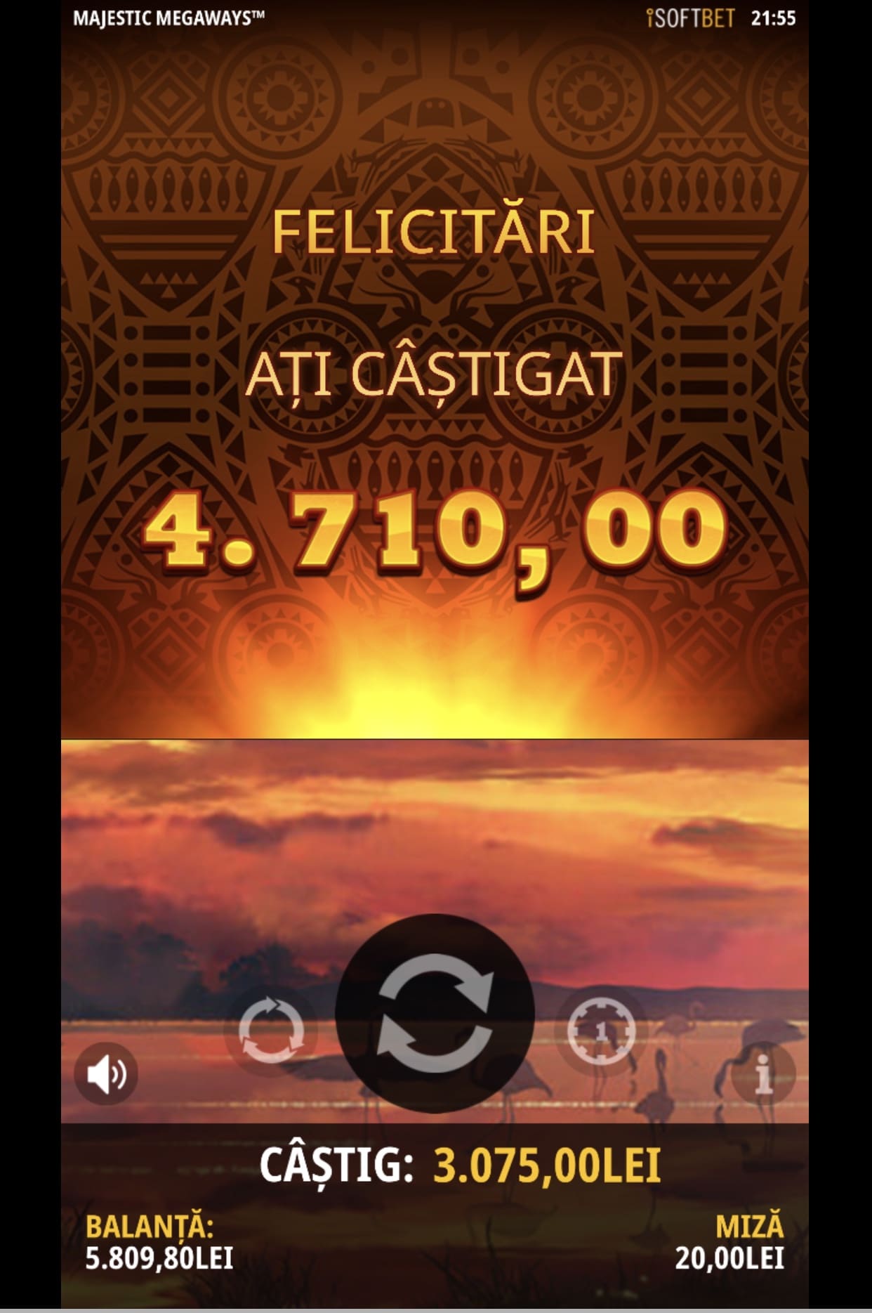 single-castig