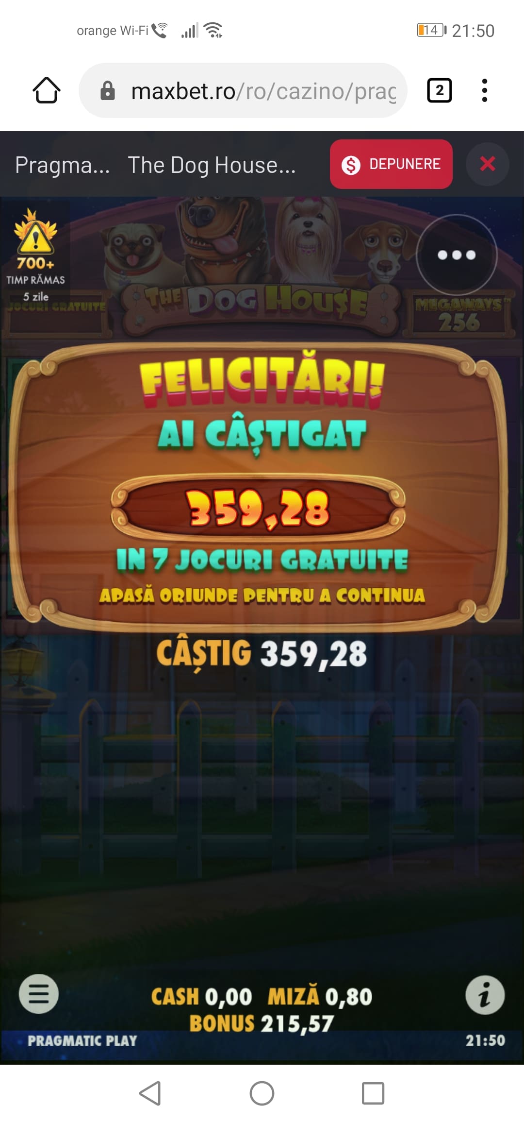 single-castig