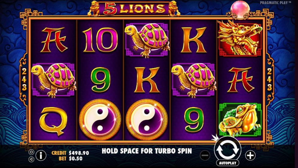 5 Lions