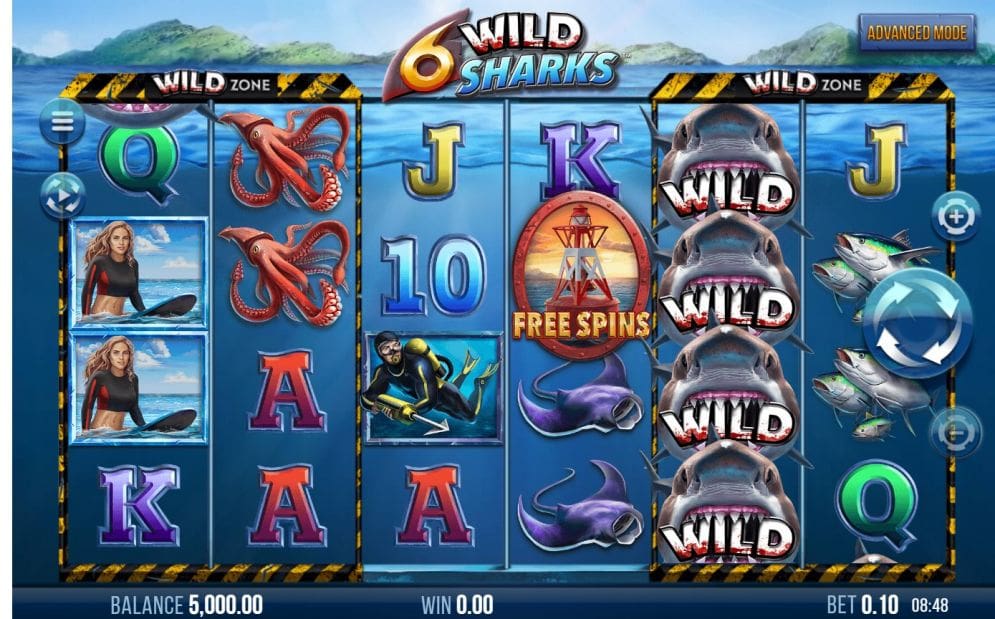 '6 Wild Sharks'