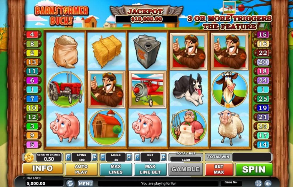 Barnstormer Bucks