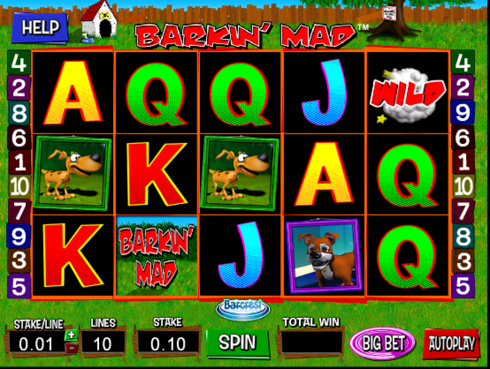 Barkin’ Mad