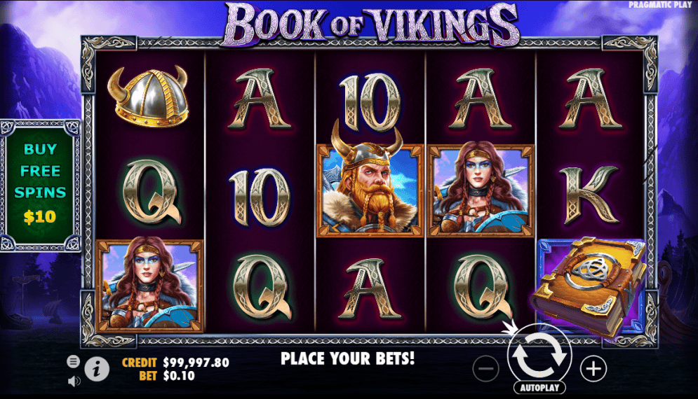 Book of Vikings