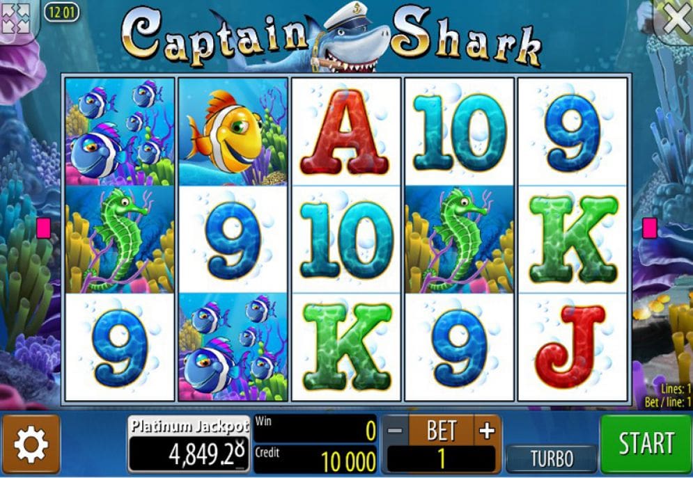 'Captain Shark'