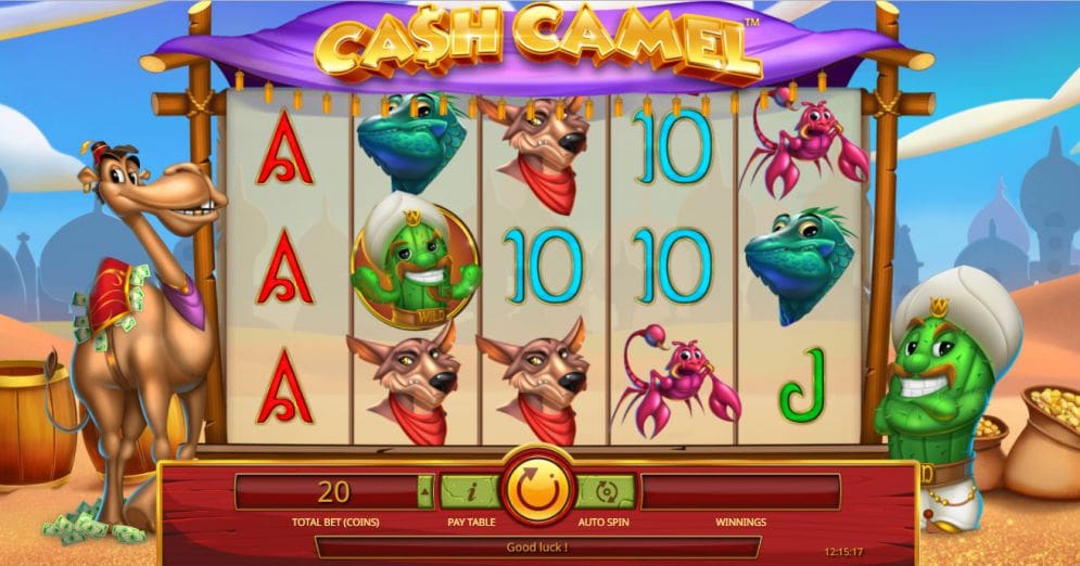 Cash Camel