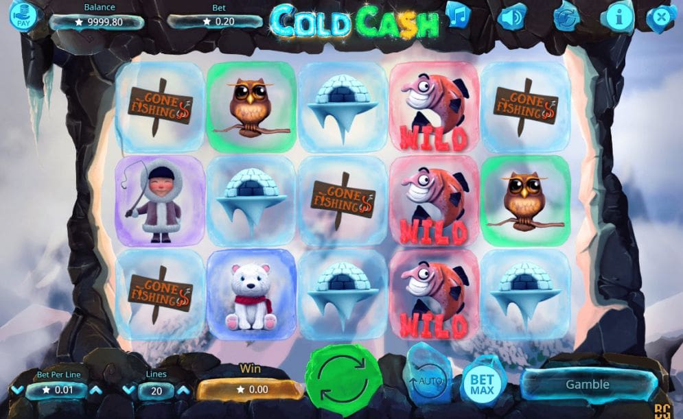 'Cold Cash'