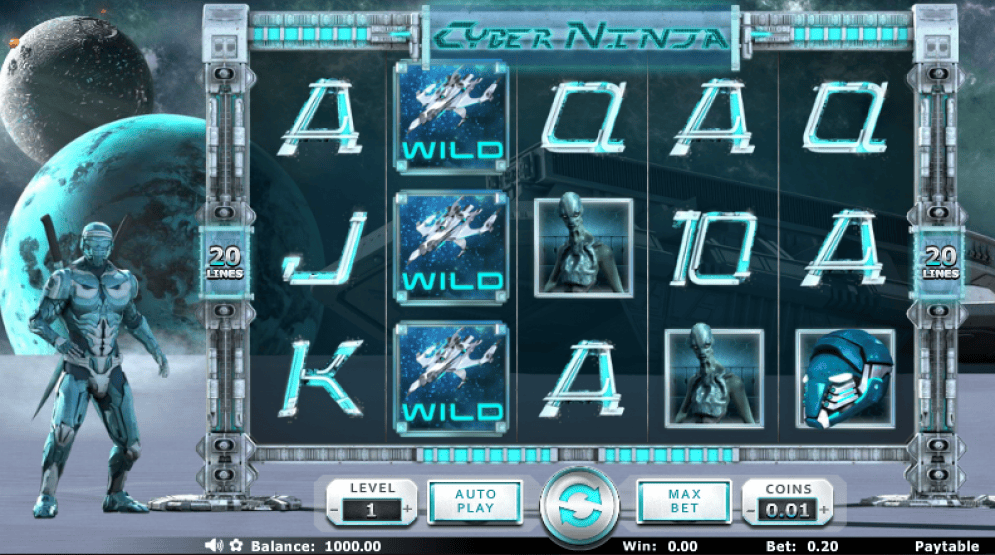 Cyber Ninja
