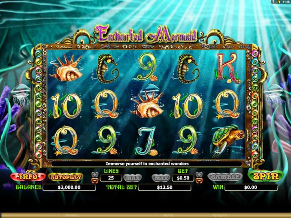 Enchanted Mermaid
