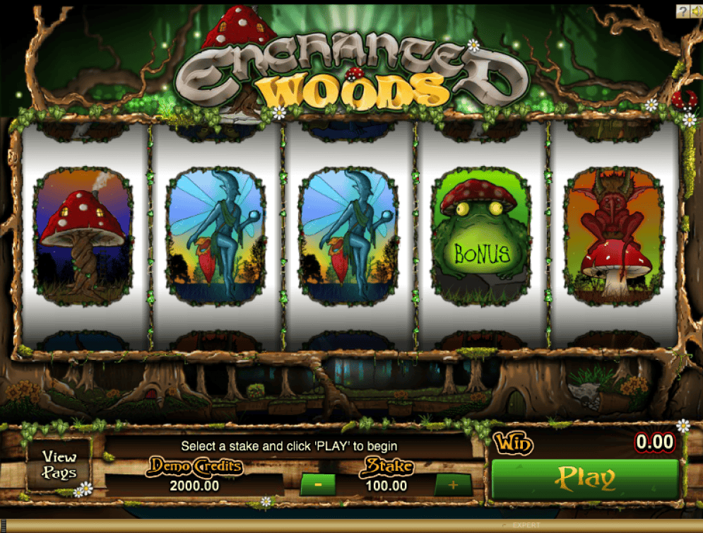 Enchanted Woods