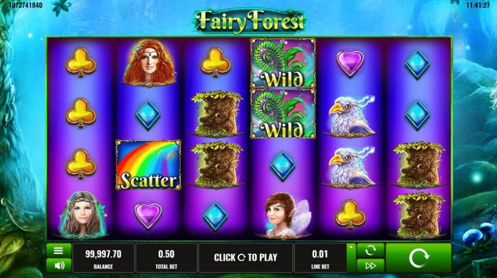 Fairy Forest