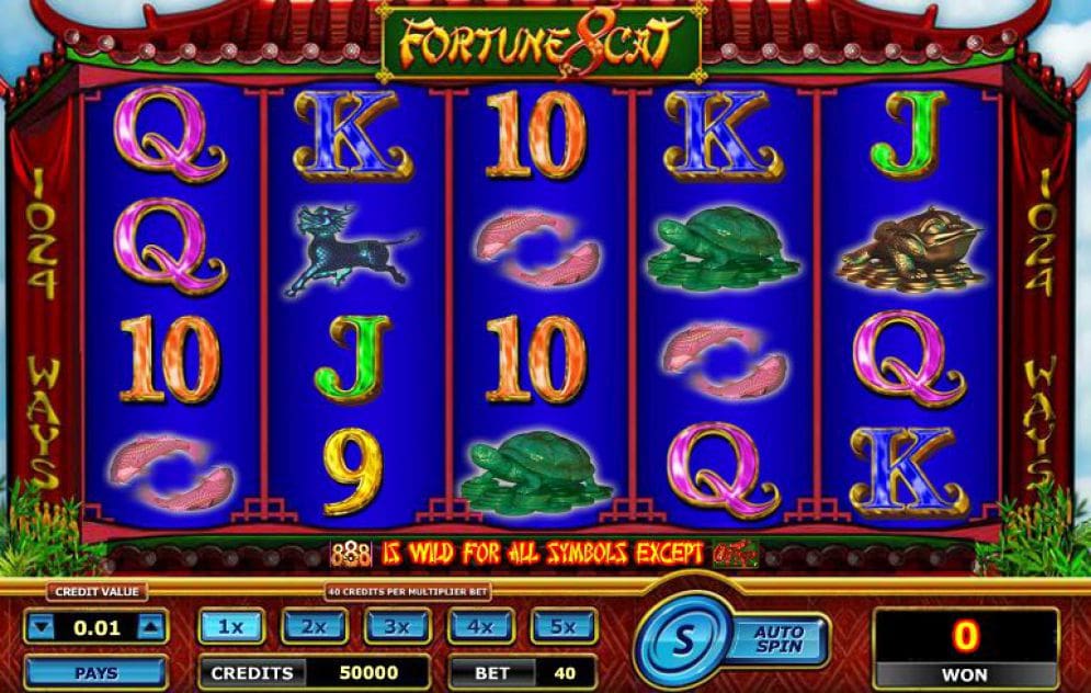 Fortune 8 Cat