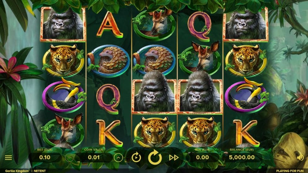 Gorilla Kingdom