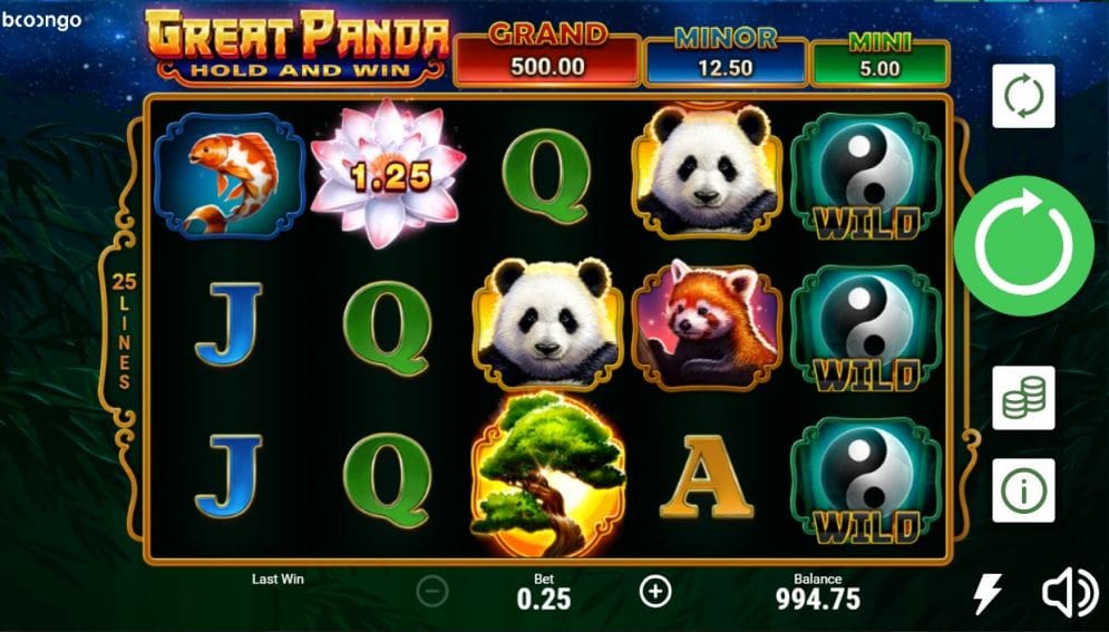 Great Panda: Hold and Win