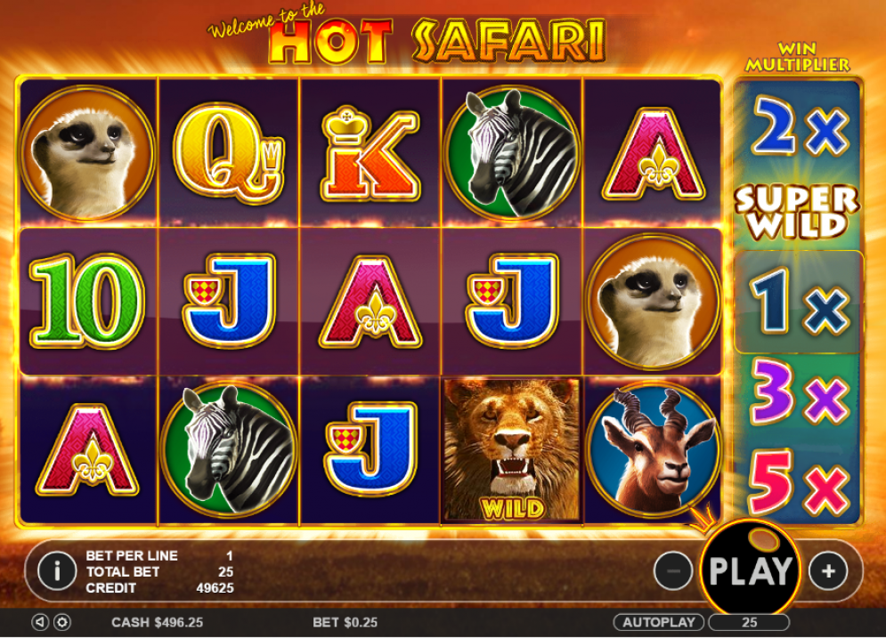 Hot Safari