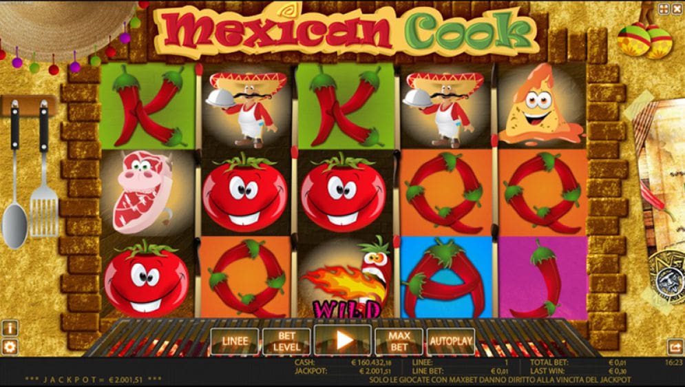 Mexican Cook
