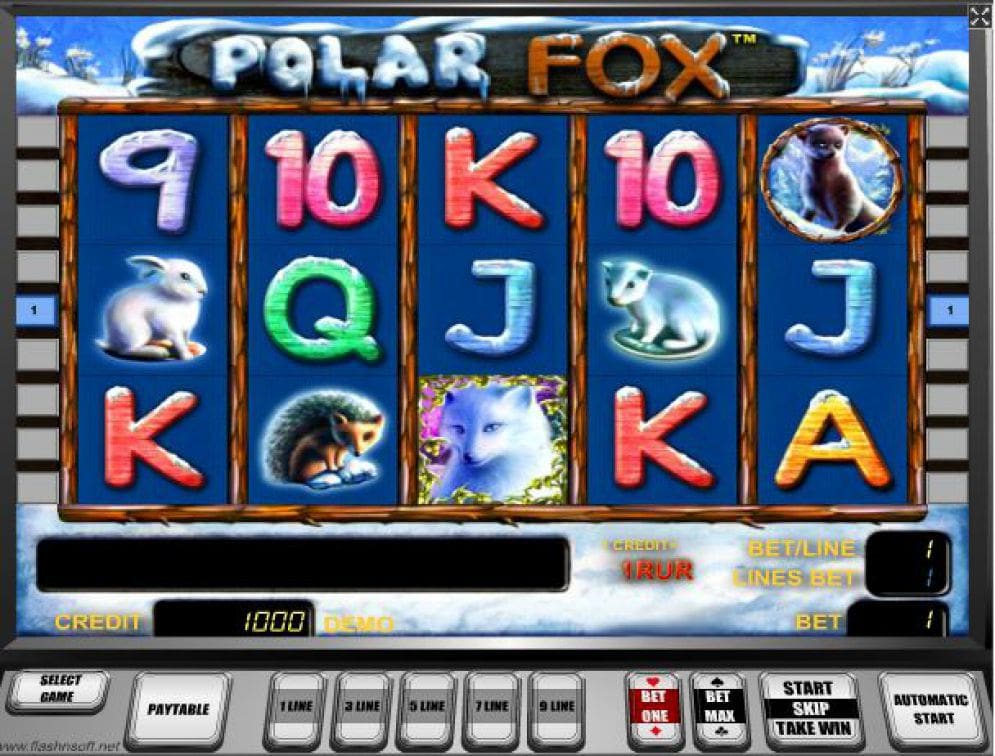 Polar Fox