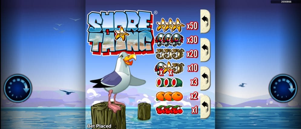 Shore Thing