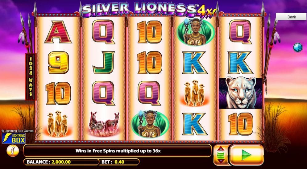Silver Lioness 4x