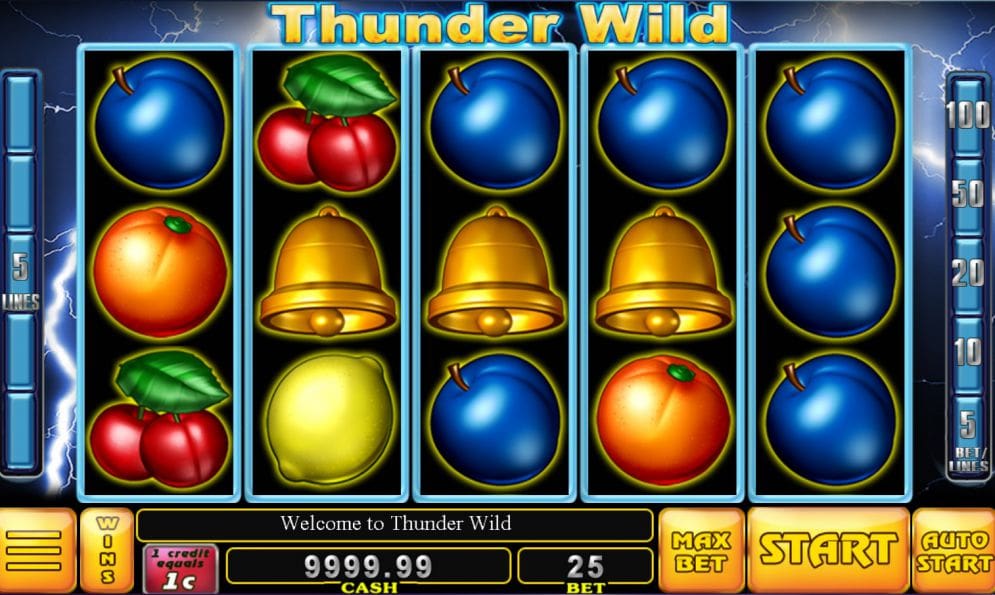Thunder Wild